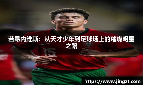 BG大游